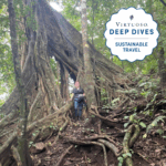 Certification in Virtuoso Deep Dives
